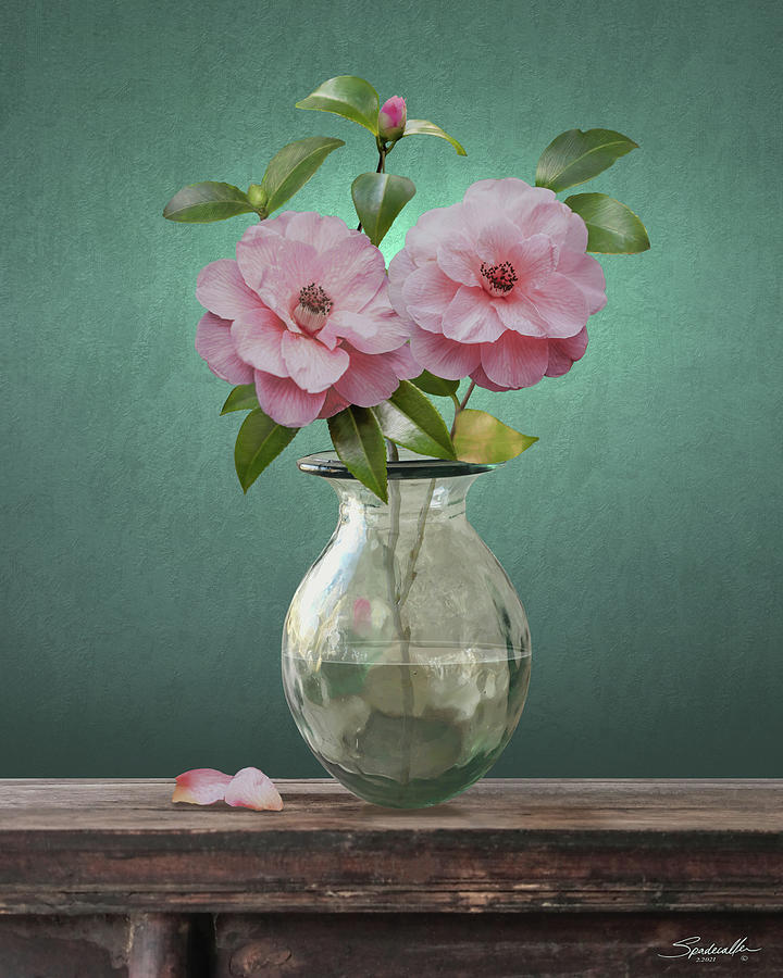 Camellia Flowers in Glass Vase Digital Art by M Spadecaller