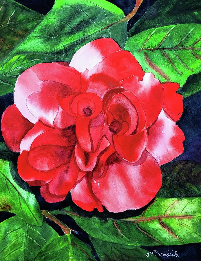 Camellia One Painting by Ann Frederick