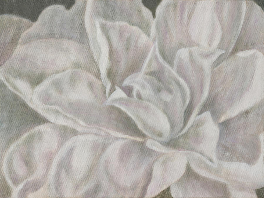 Camellia Painting by Tammy Pool