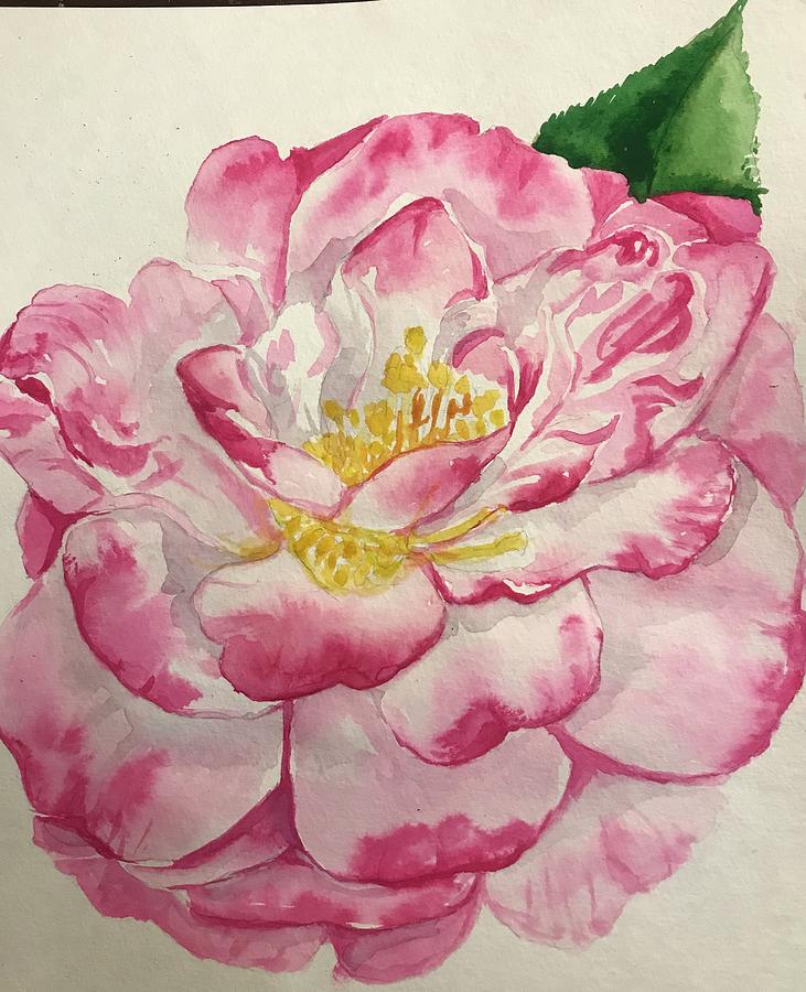 Camellia Painting by Teresa Middleton - Fine Art America