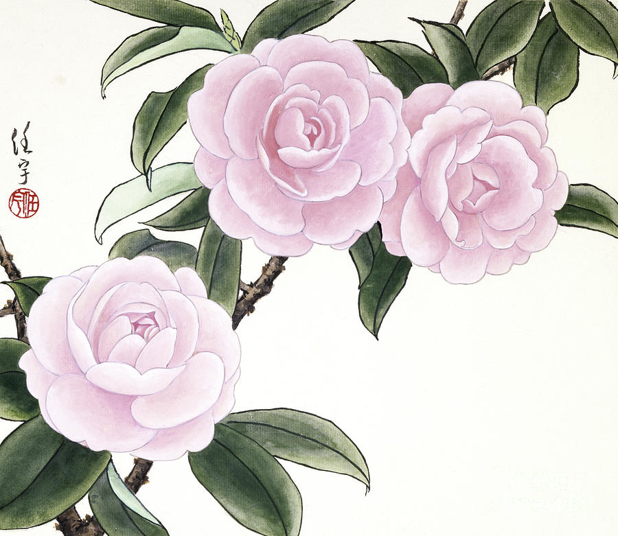 Pink Camellias II Painting by Ren Yu