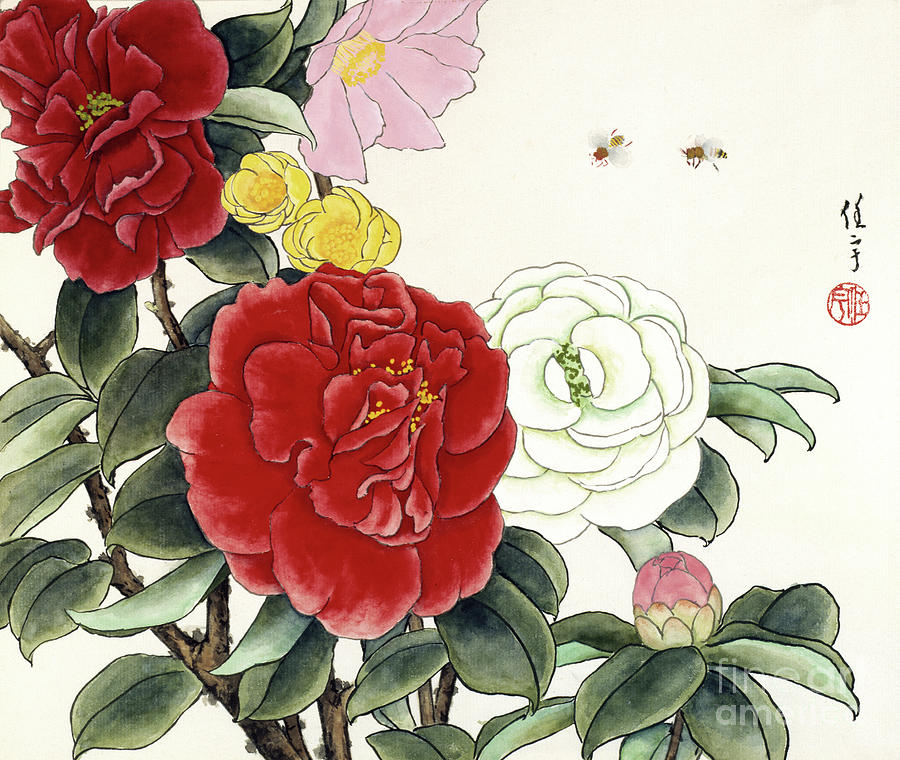 Red and White Camellias Painting by Ren Yu