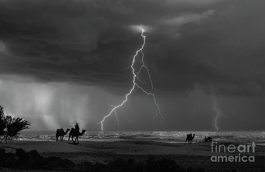 Camels Beach Morocco Essaouira Black White Lightning  Photograph by Chuck Kuhn