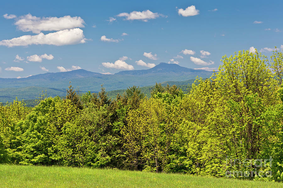 Camels Hump Spring View Photograph