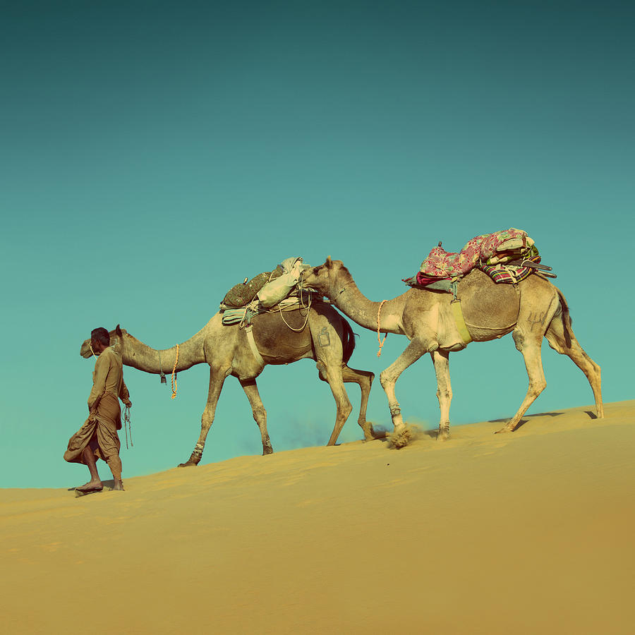 Camels In Desert - Vintage Retro Style Photograph by Mikhail Kokhanchikov