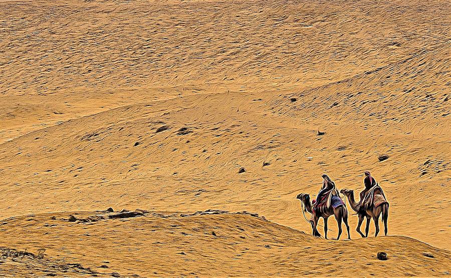 Camels In The Desert Photograph