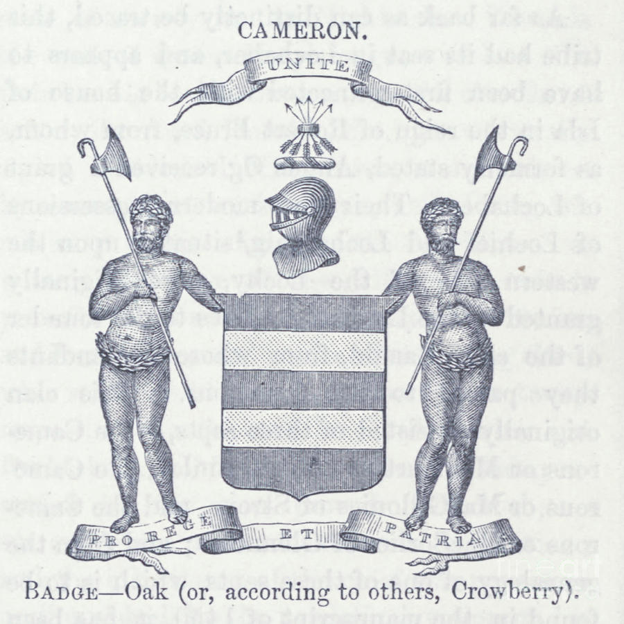 Cameron coat of arms, crest, and motto n3 Drawing by Historic ...