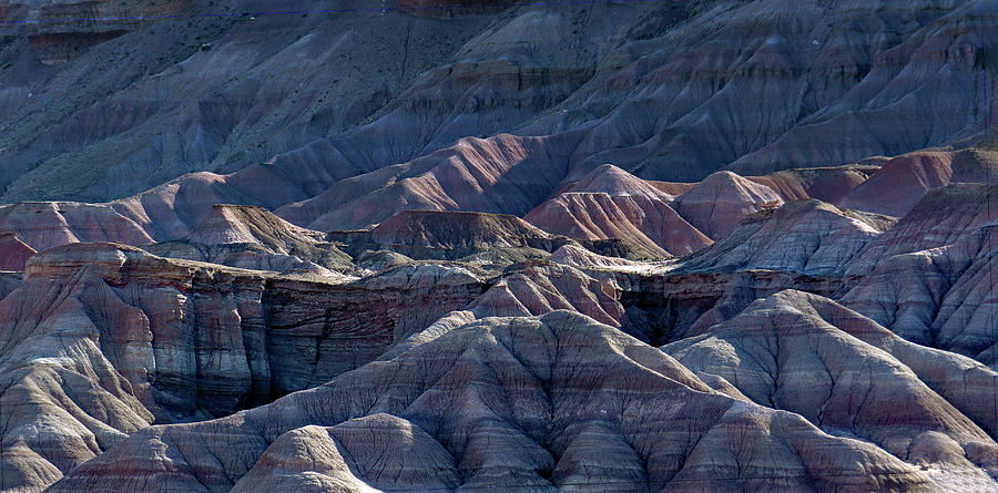 Cameron Painted Desert 1 Photograph by JustJeffAz Photography
