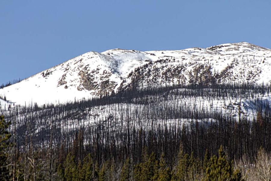 Cameron Peak Destruction Photograph by Pauline Motis | Fine Art America