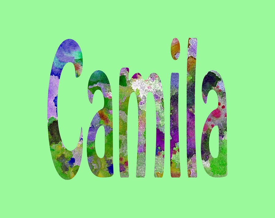 Camila Painting by Corinne Carroll