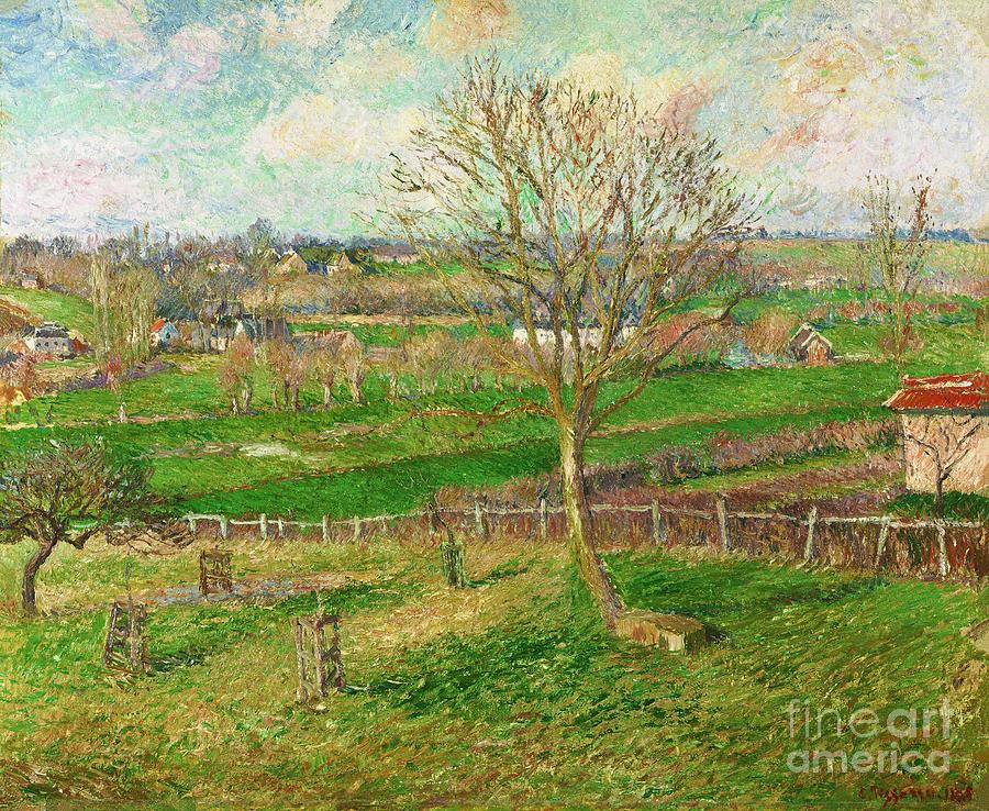 Camille Pissarro - The Field and the Great Walnut Tree in Winter, Eragny Painting by Alexandra Arts