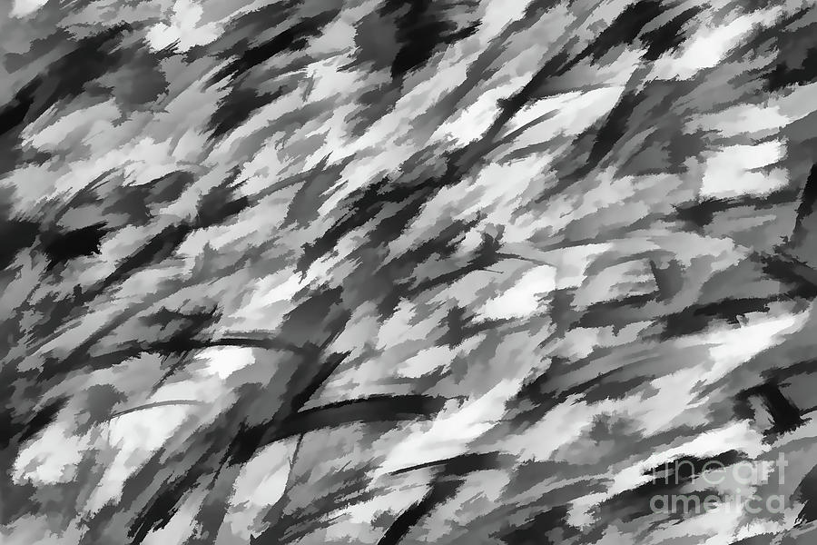 Camo in Black and White Digital Art by Sterling Gold