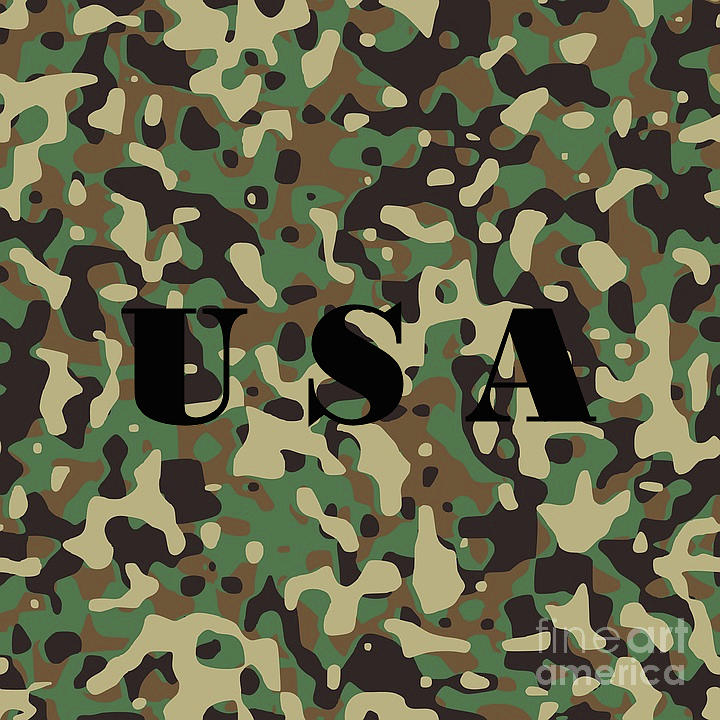 Camo With Black Usa Lettering Photograph