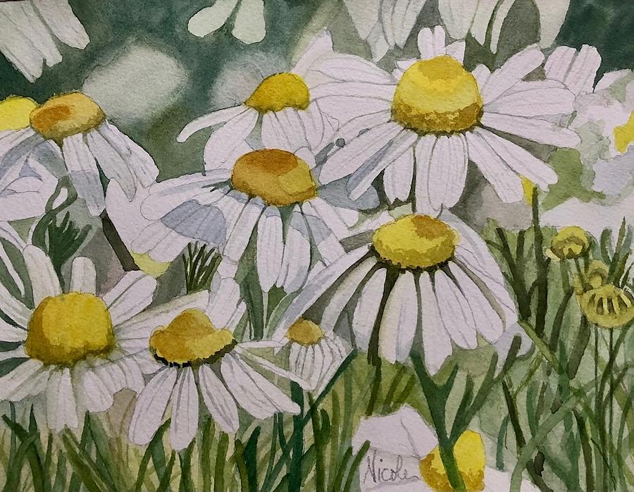 Camomile Painting