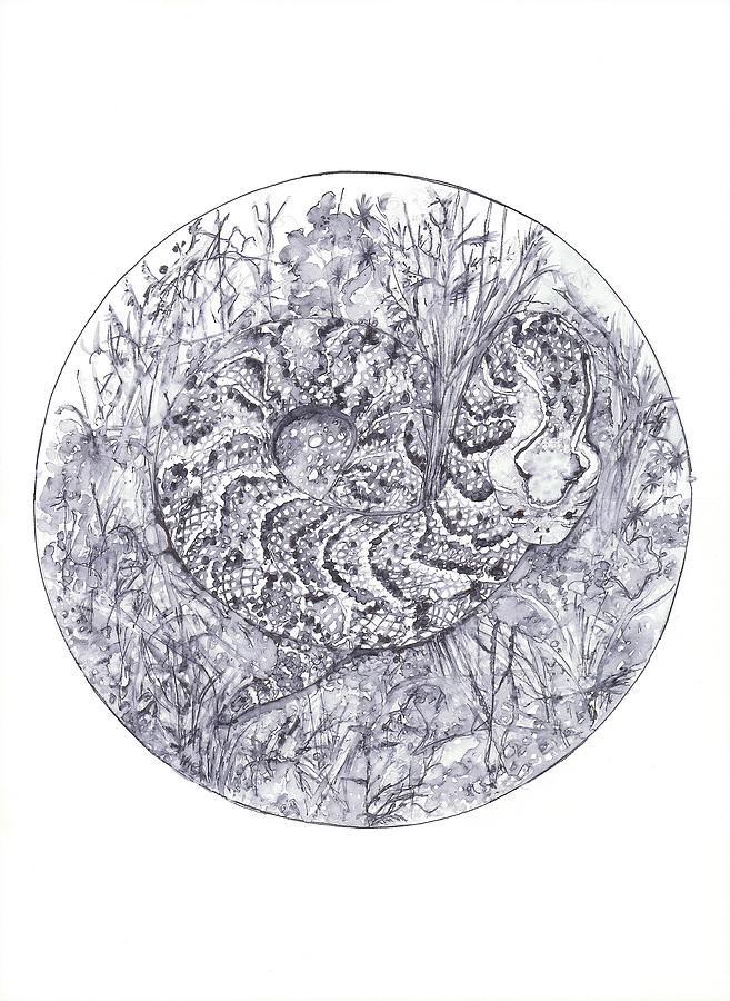 Camouflage Drawing by Robyn Sheldon - Fine Art America