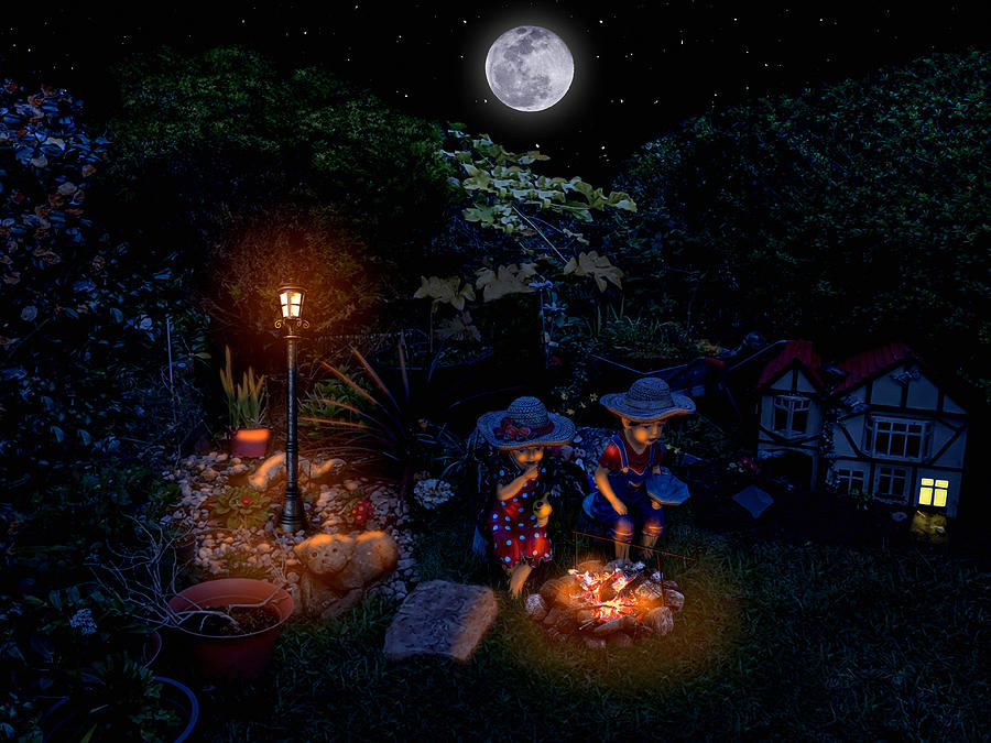 Campfire And Moonlight On First Date Digital Art