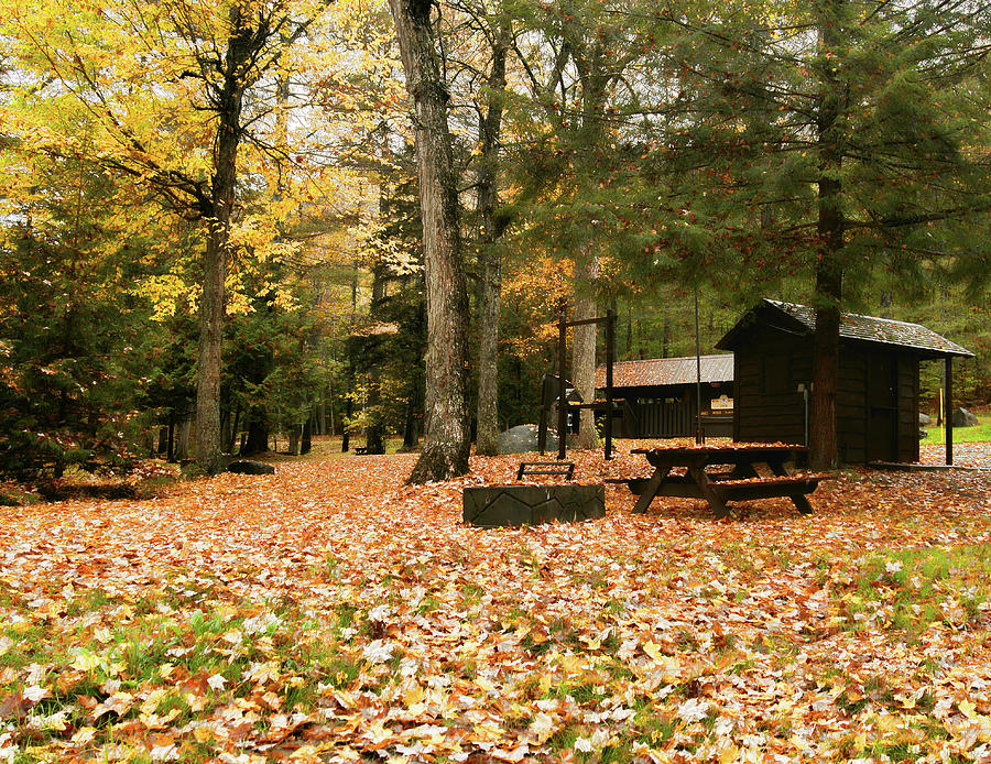 Campground in fall Photograph by Debra Millet - Fine Art America