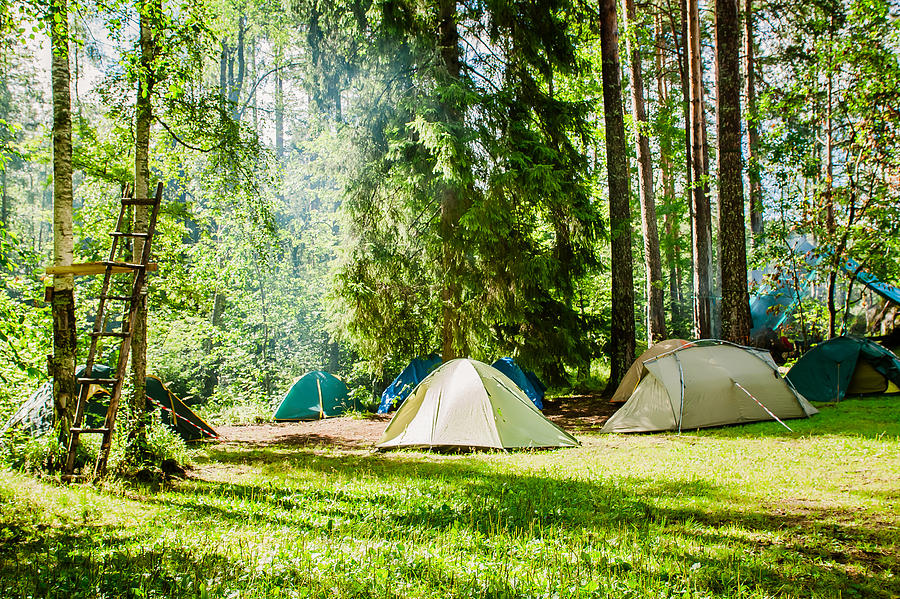 Campground On The Edge Of The Forest Photograph by Anna Avdeeva