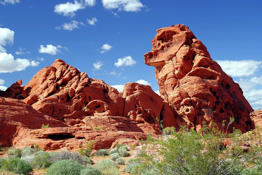 Campsite 21, Valley Of Fire State Park Photograph by Douglas Taylor ...