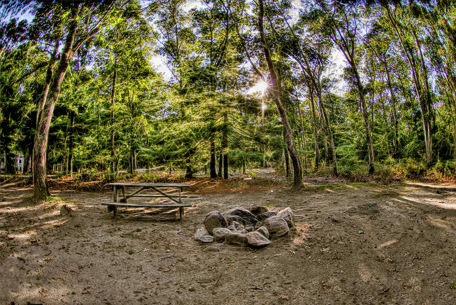 Campsite in Rhode Island Photograph by Cordia Murphy