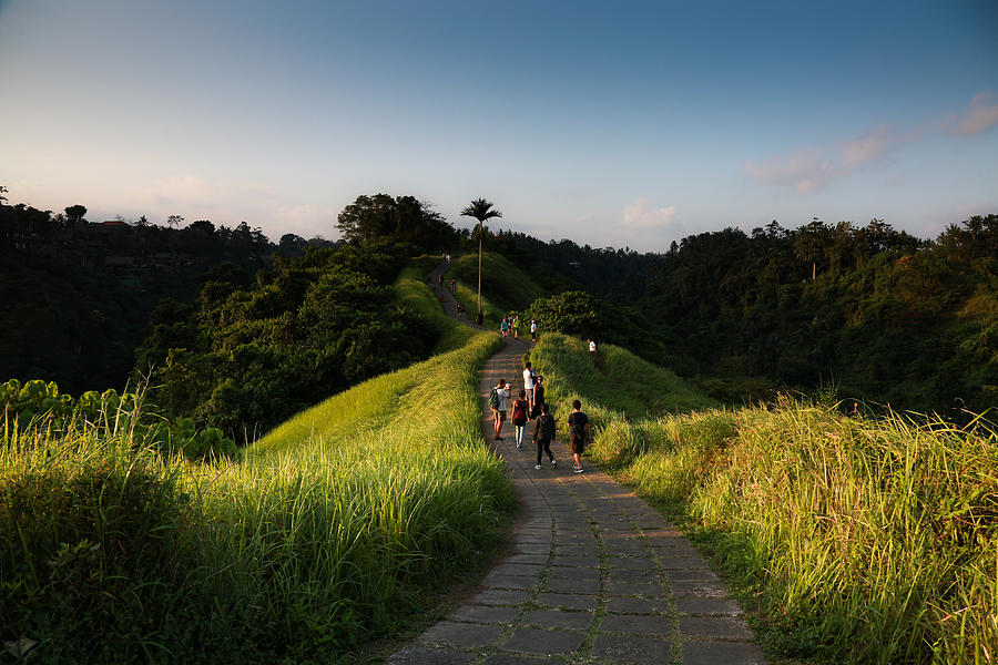 Campuhan Ridge Walk, Ubud, Bali, Indonesia Photograph by Kulliprashant