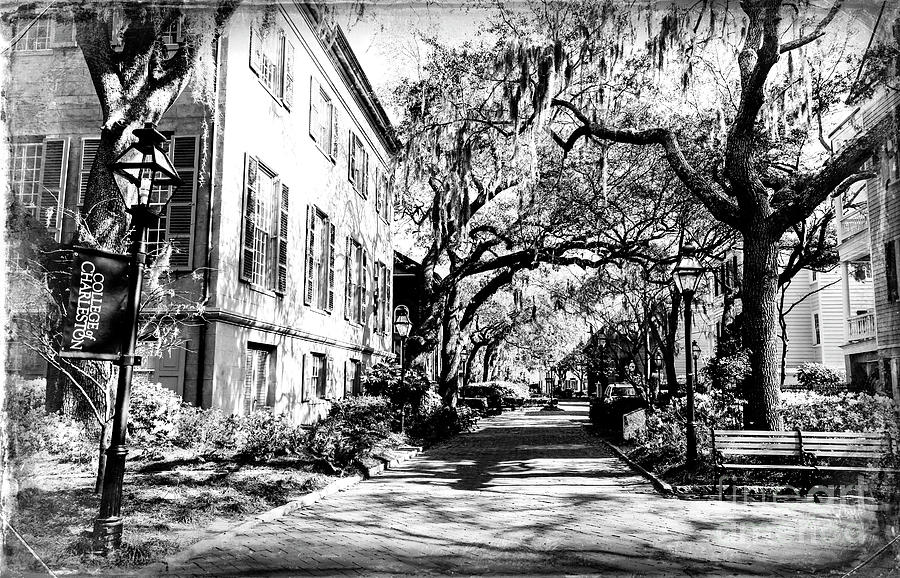 Campus Walk at the College of Charleston in South Carolina Photograph by John Rizzuto