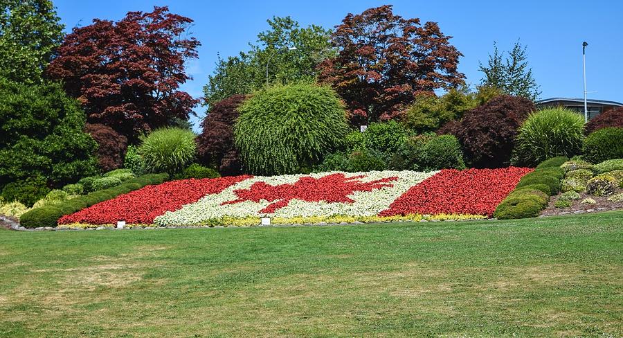 Canada Flag in Bloom Photograph by Tom Cochran