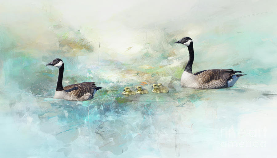 Wildlife Digital Art - Canada Geese, Series A, no. 1 by Marilyn Wilson