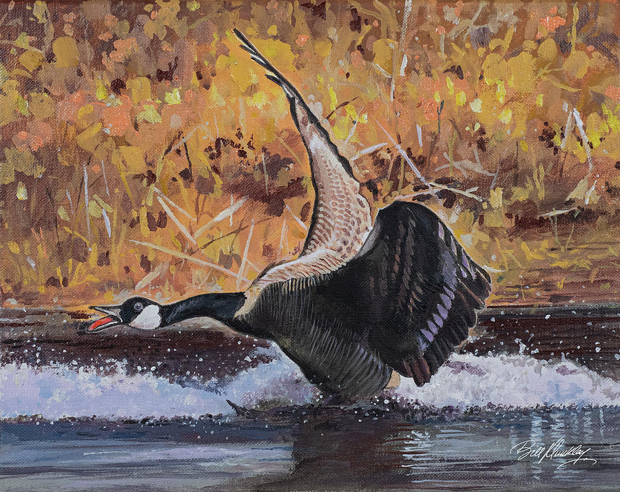 Canada Goose Painting by Bill Dunkley