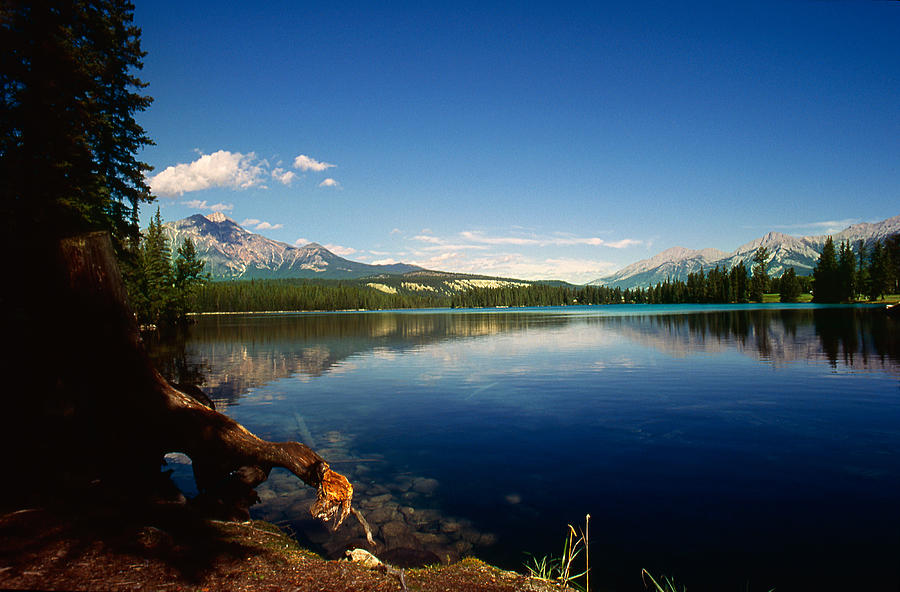 Canada, Jasper National Park Photograph by Dietmar Temps, Cologne