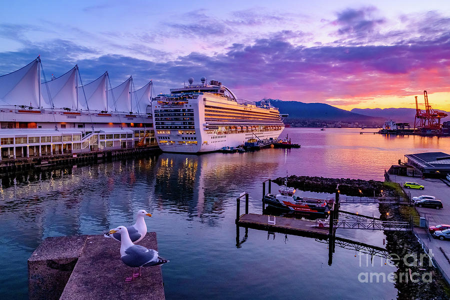 Canada Place Cruise Ship Terminal Photograph by Michael Wheatley