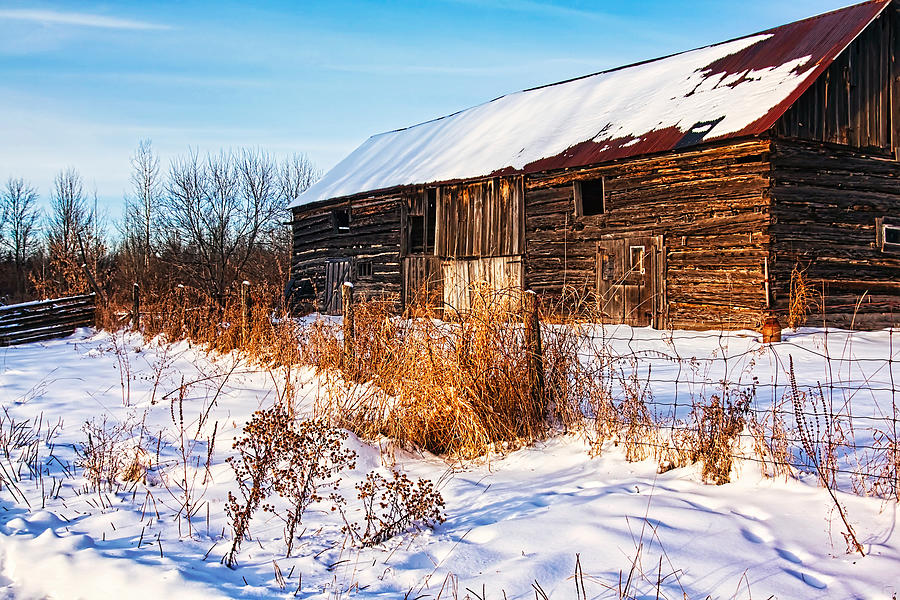 Canadian barn in the winter Photograph by Tatiana Travelways