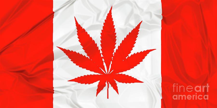 Canadian cannabis leaf flag Photograph by Benny Marty