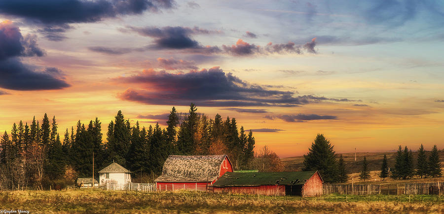 Canadian Farm Life Photograph by G Lamar Yancy
