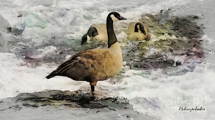 Canadian Geese Digital Art by Aurelia Schanzenbacher