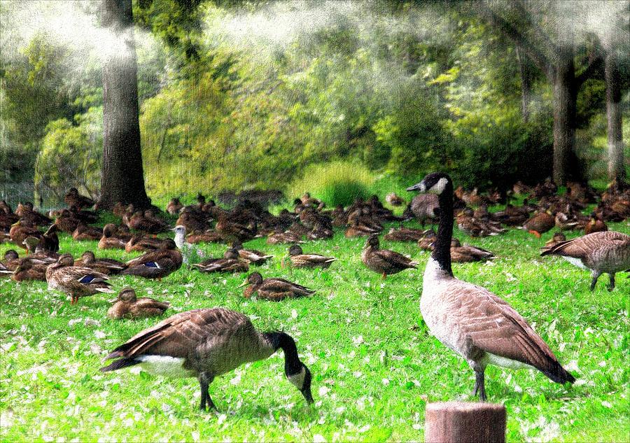 Canadian Geese Painterly Mixed Media by Bob Pardue