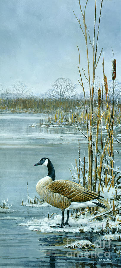 Canadian Goose Painting by JQ Licensing