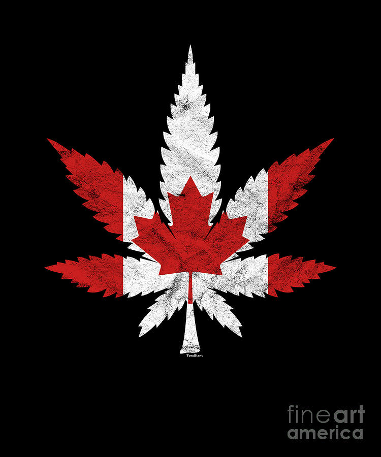 Canadian Leaf Digital Art by Thomas Larch Fine Art America