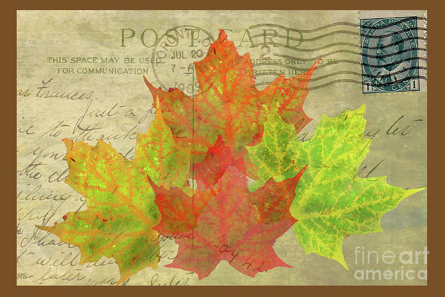 Canadian Post Photograph by Nina Silver