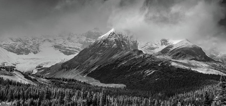 Canadian Rockies Black And White Landscape Photograph by Dan Sproul