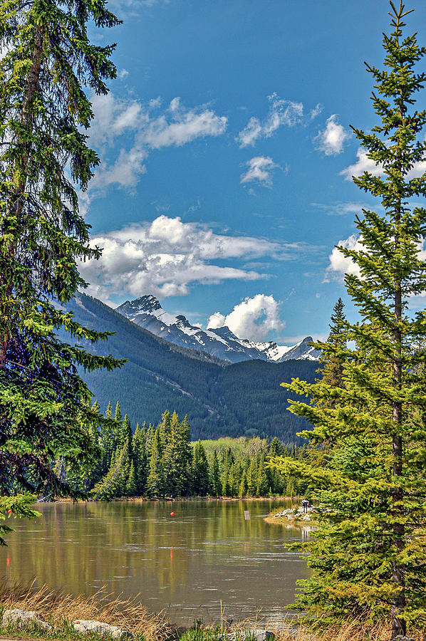 Canadian Rockies, Canada Photograph by Mark Llewellyn