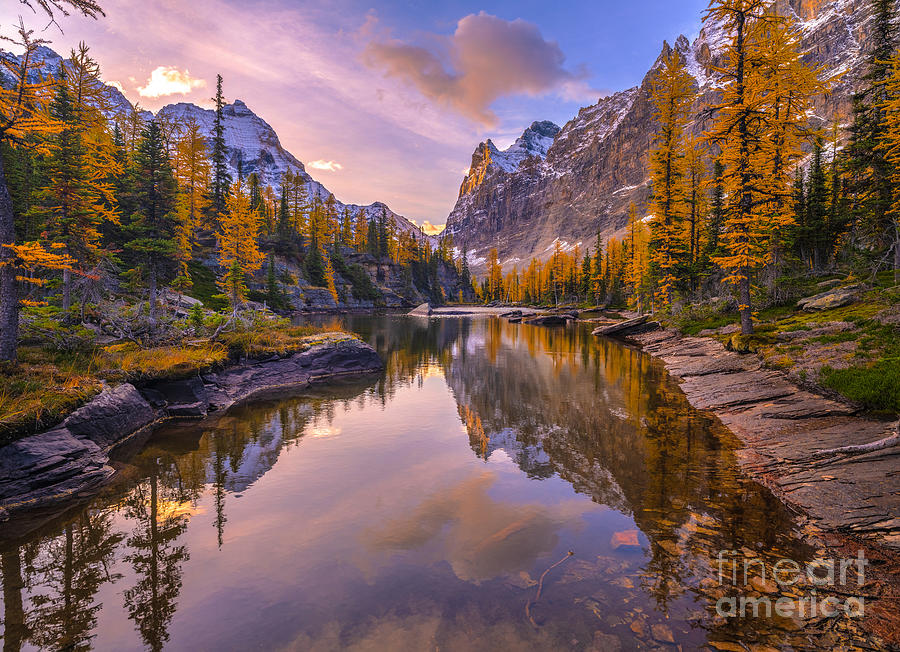 Canadian Rockies Fall Colors Vision Photograph