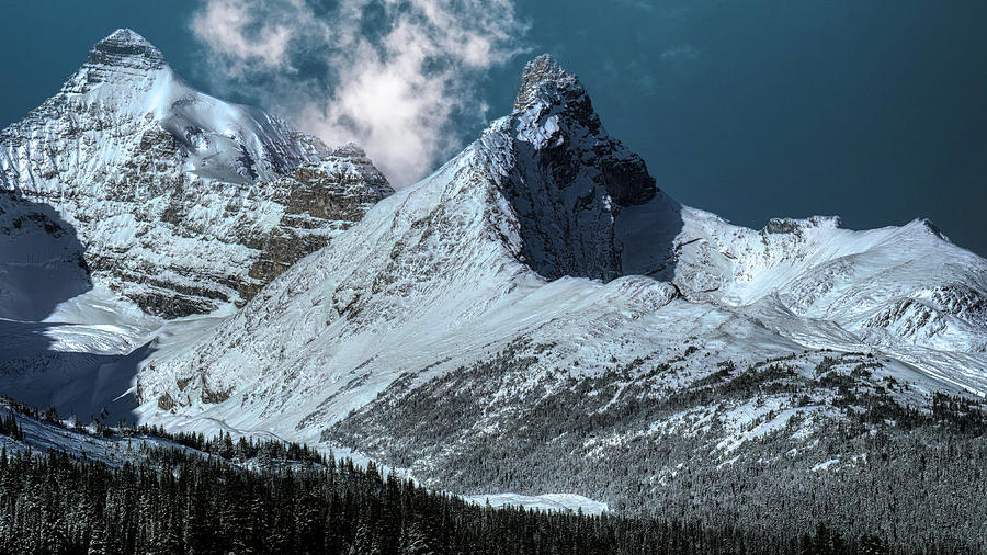 Canadian Rockies Photograph by G Lamar Yancy