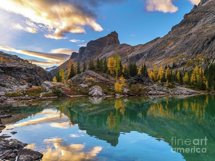 Canadian Rockies Lefroy Lake Fall Colors Reflection Photograph