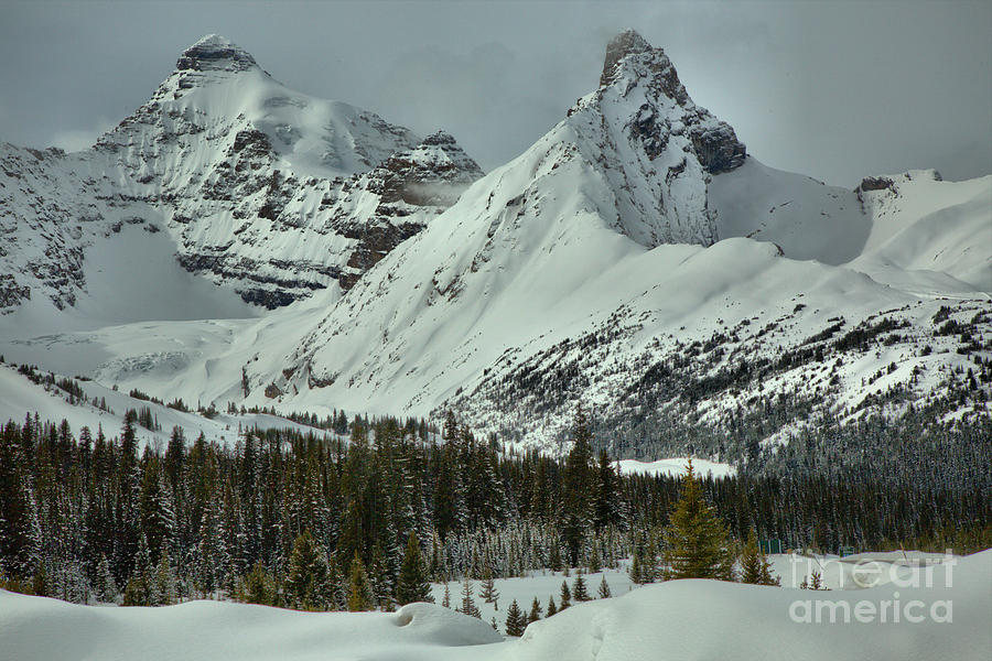 Canadian Rockies Mid Winter Photograph by Adam Jewell
