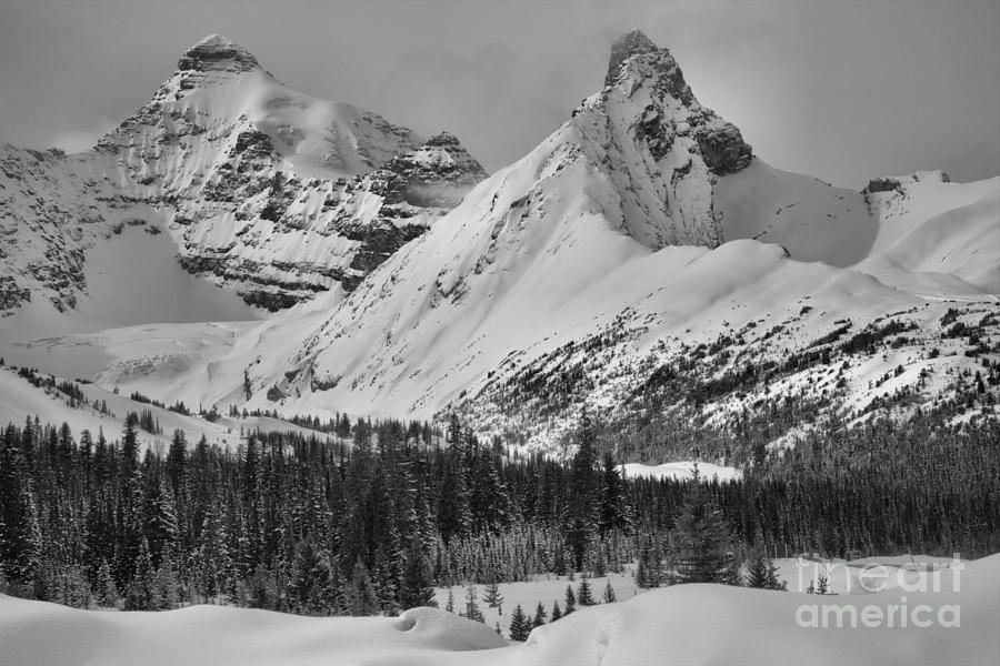 Canadian Rockies Mid Winter Black And White Photograph by Adam Jewell