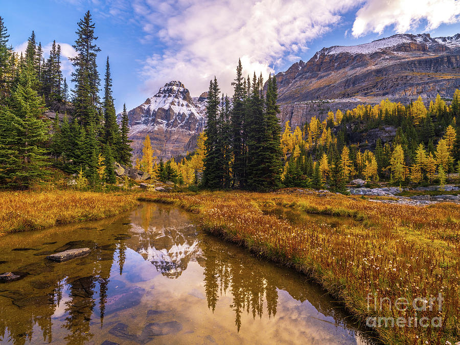 Canadian Rockies Opabin Plateau Fall Colors Photograph
