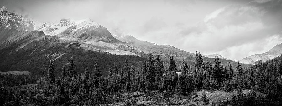 Canadian Rockies Panorama Black And White Photograph by Dan Sproul