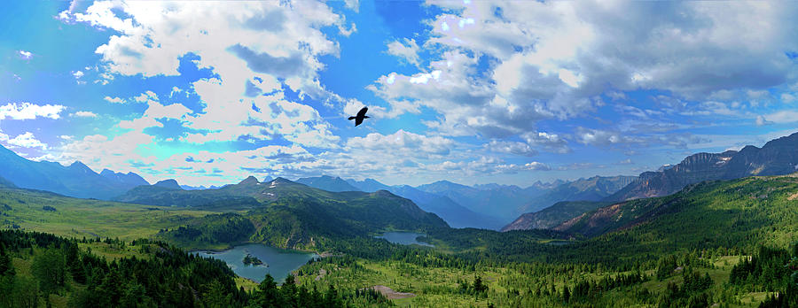 Canadian Rockies Panorama Photograph by Rick Wilking