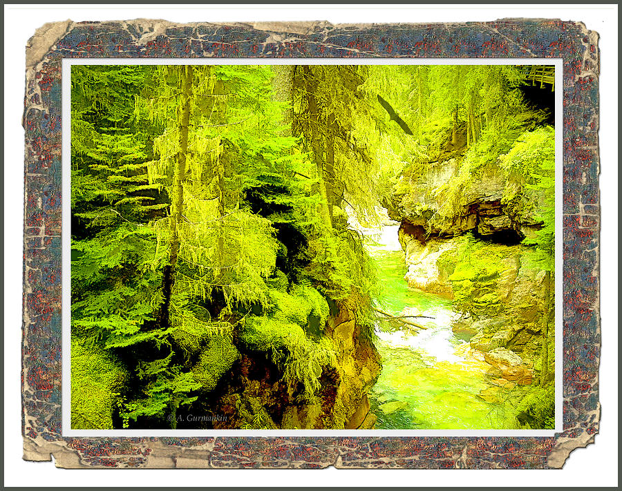 Canadian Rockies River Gorge Digital Art by A Macarthur Gurmankin